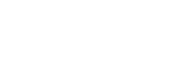 Leonardo Consultancy